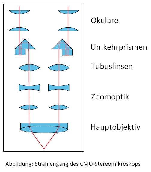 CMO Stereomikroskop Strahlengang